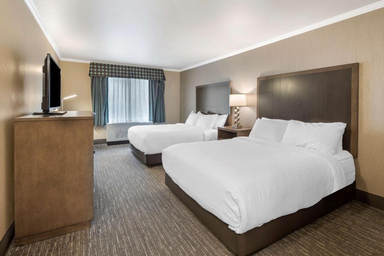 Queen Room with Two Queen Beds and Roll-In Shower - Disability Access/Non-Smoking