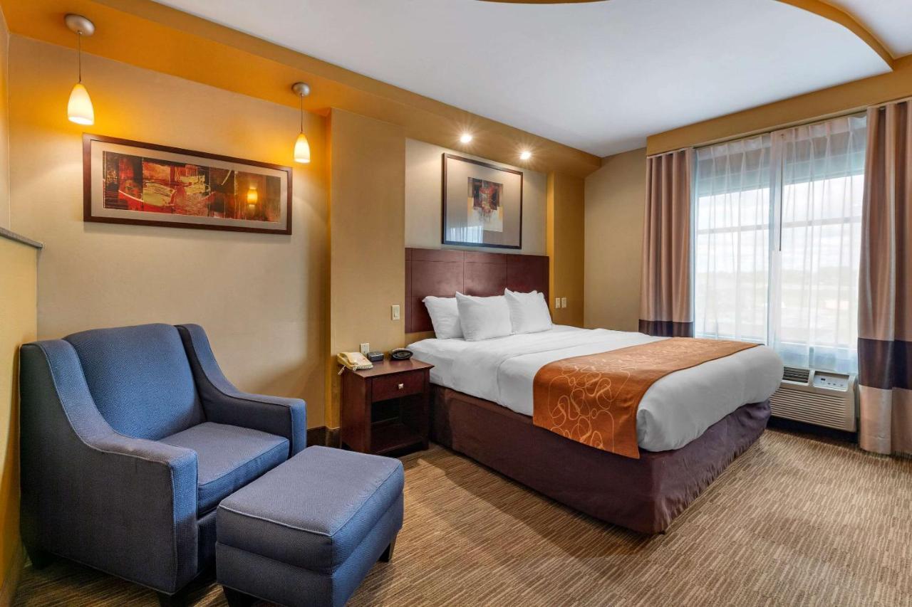 Suite King Bed,1314158323:JPEG