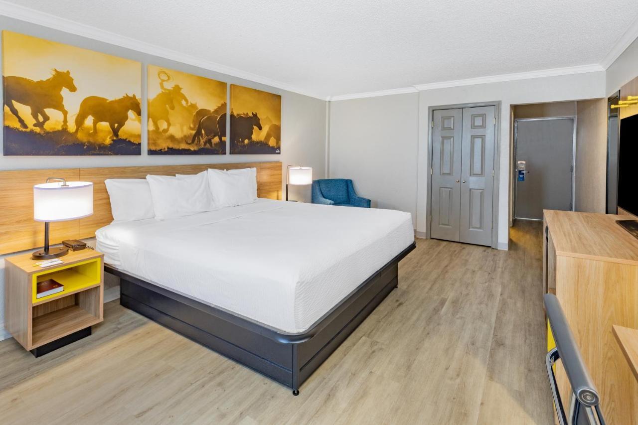 King Room - Non-Smoking