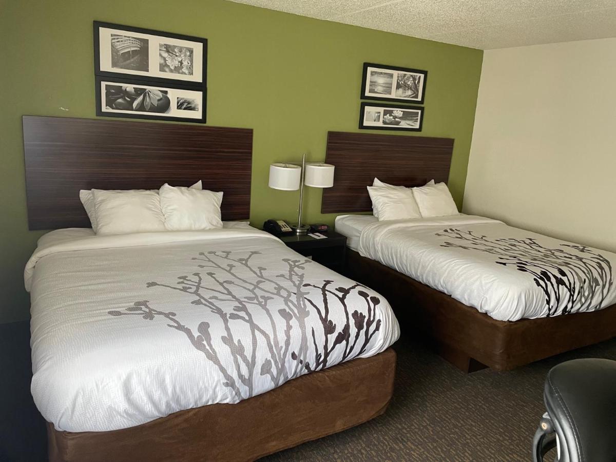 Queen Room with Two Queen Beds - Non-Smoking,1353250729:JPEG