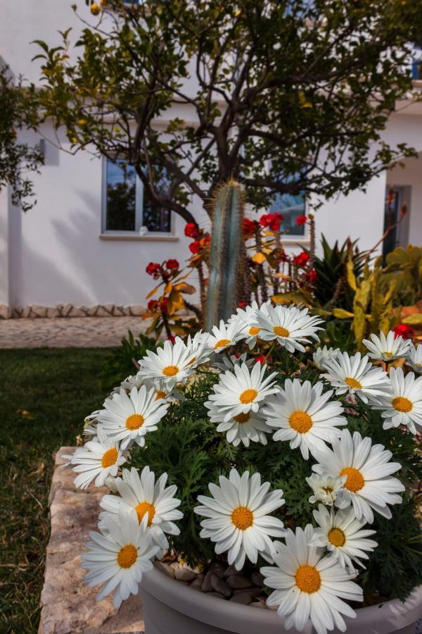 Camera Matrimoniale con Balcone