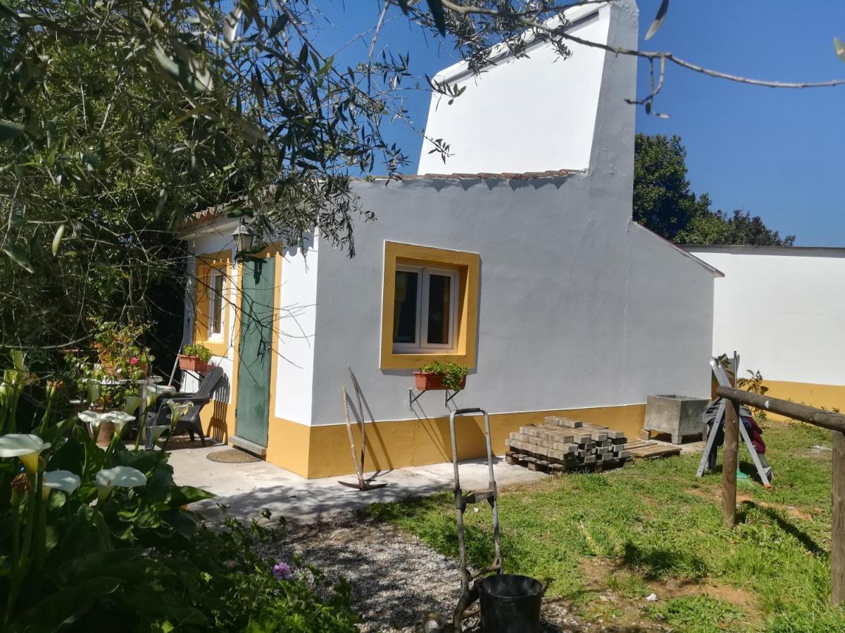 Estúdio com Vista Jardim