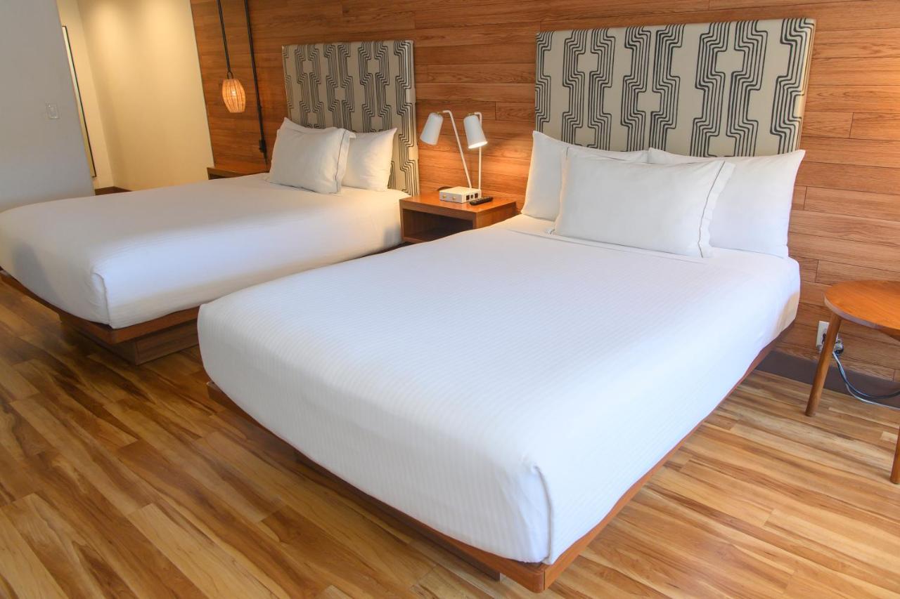 Double or Twin Room - Disability Access,1370525033:JPEG