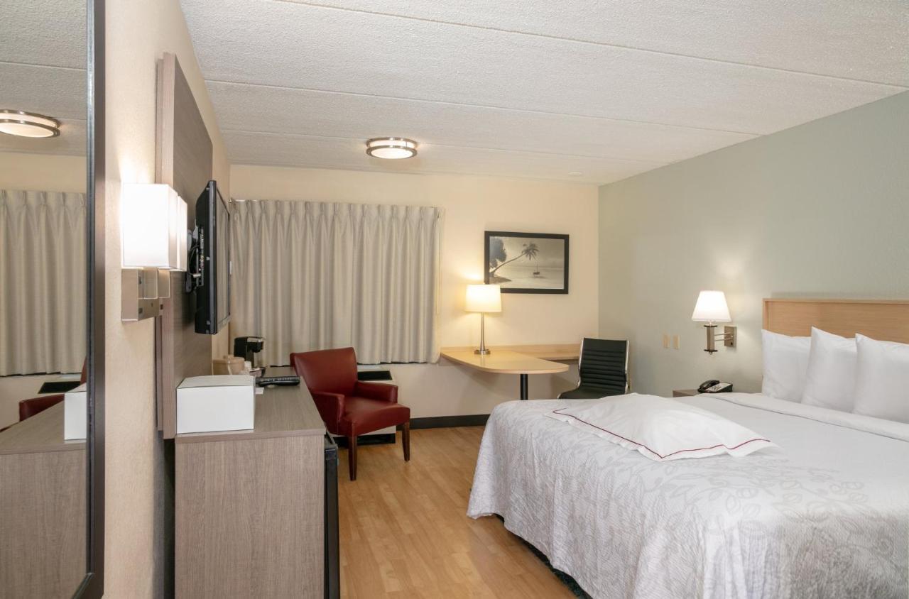 Quarto Premium com Cama King-size e Acessibilidade - Não Fumantes (Upgrade de Cama e Lanche)