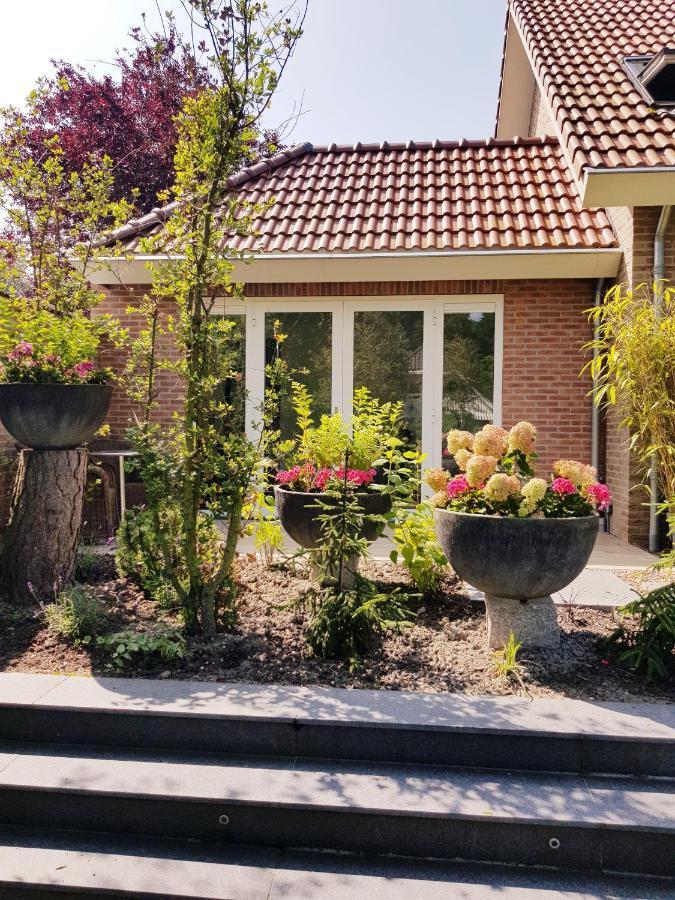 Junior Suite met Terras