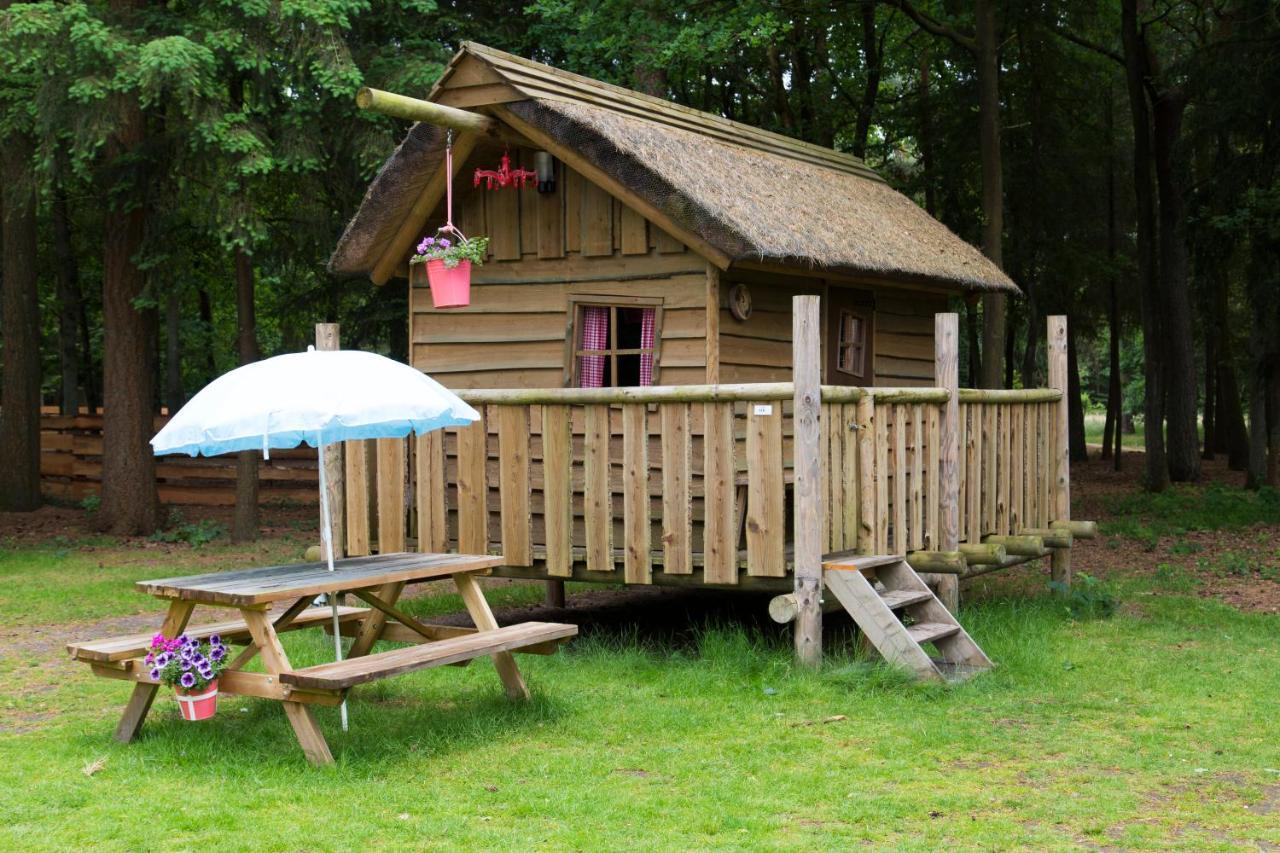 Wooden Log Cabin (no bathroom)