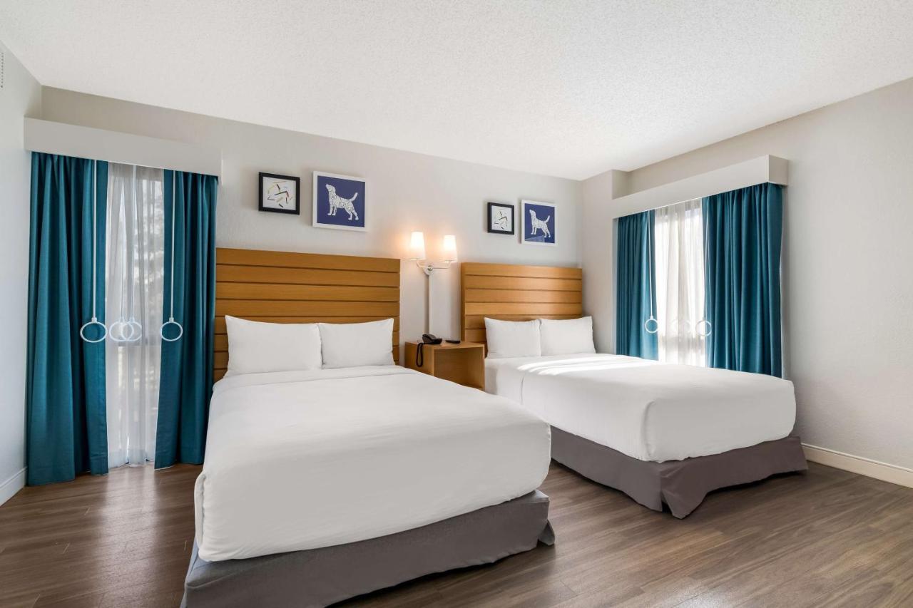 Suíte de 2 Quartos - Cama King-size e 2 Camas de Casal