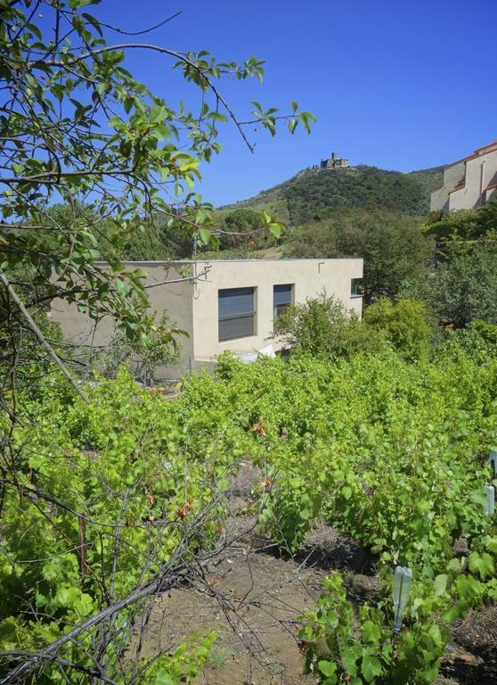 Appartement avec Terrasse (2 Adultes)