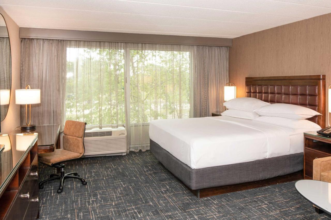 Junior Suite 1 King Sofa bed,1398000449:JPEG