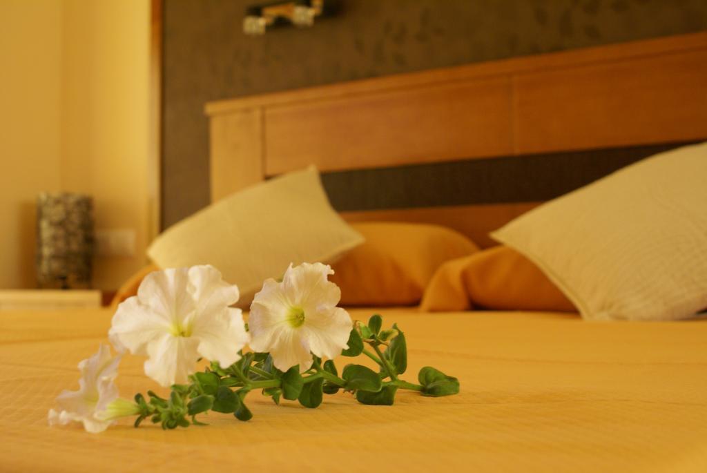 Double or Twin Room,735801802:JPEG