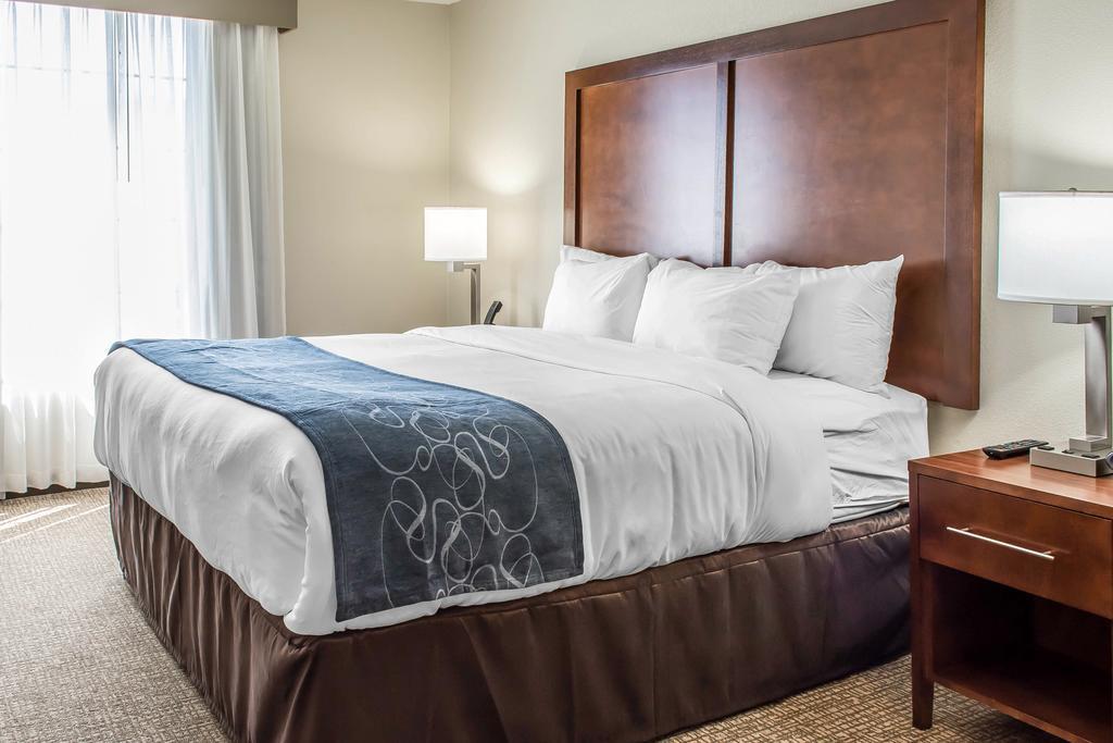 King Suite with Sofa Bed - Disability Access