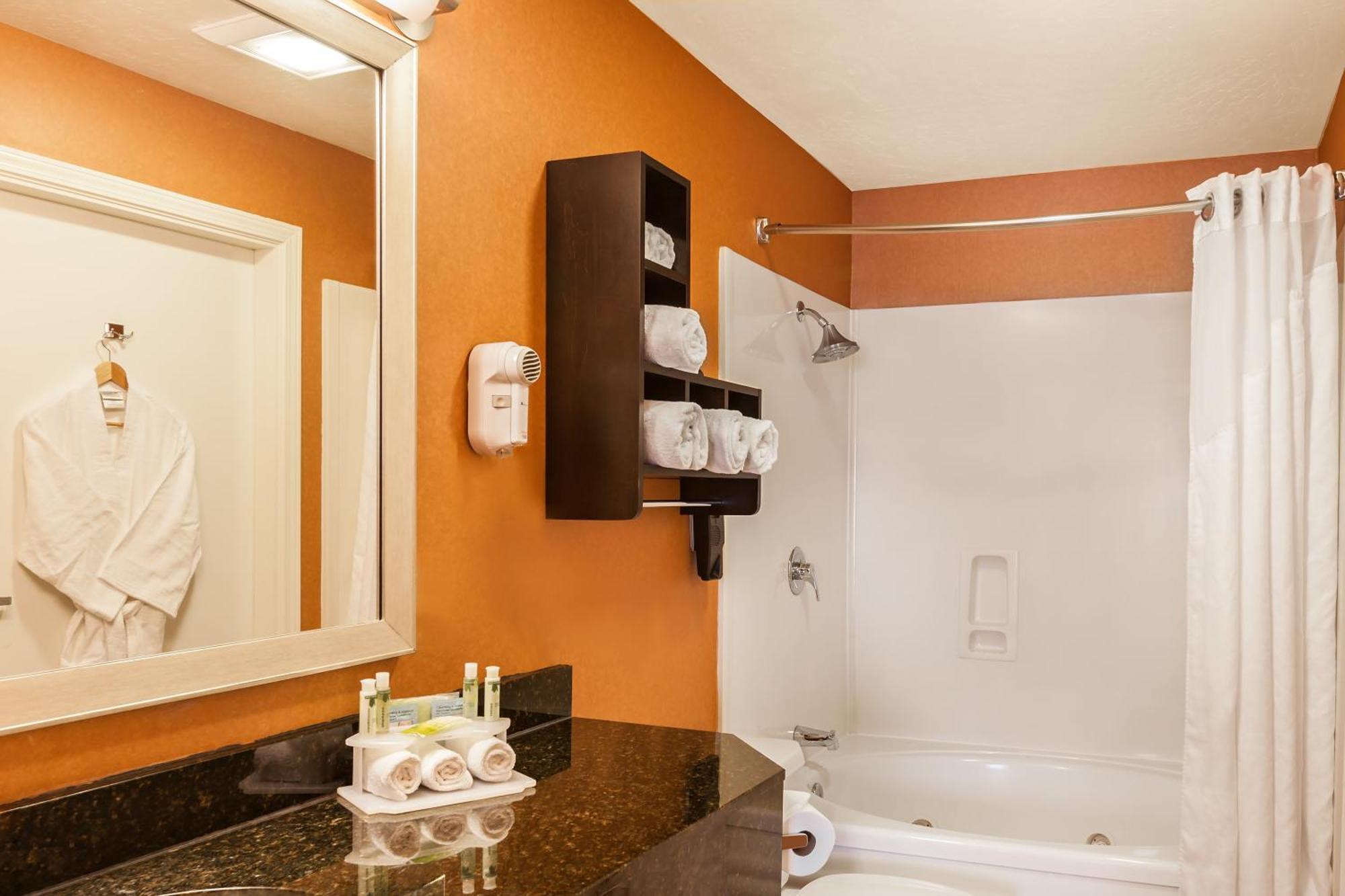 One-Bedroom King Suite