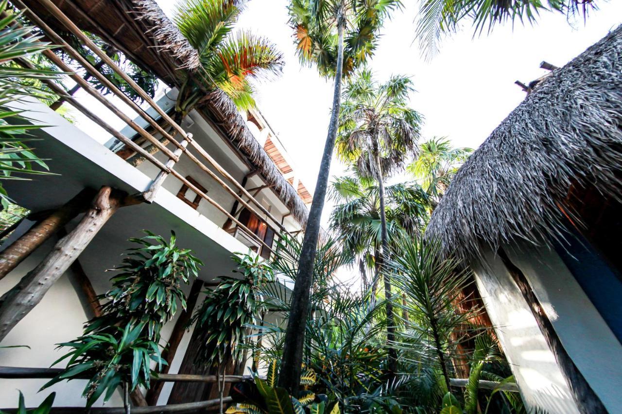 Quarto Superior com Cama King-size, Terraço e Vista Selva - Último Piso