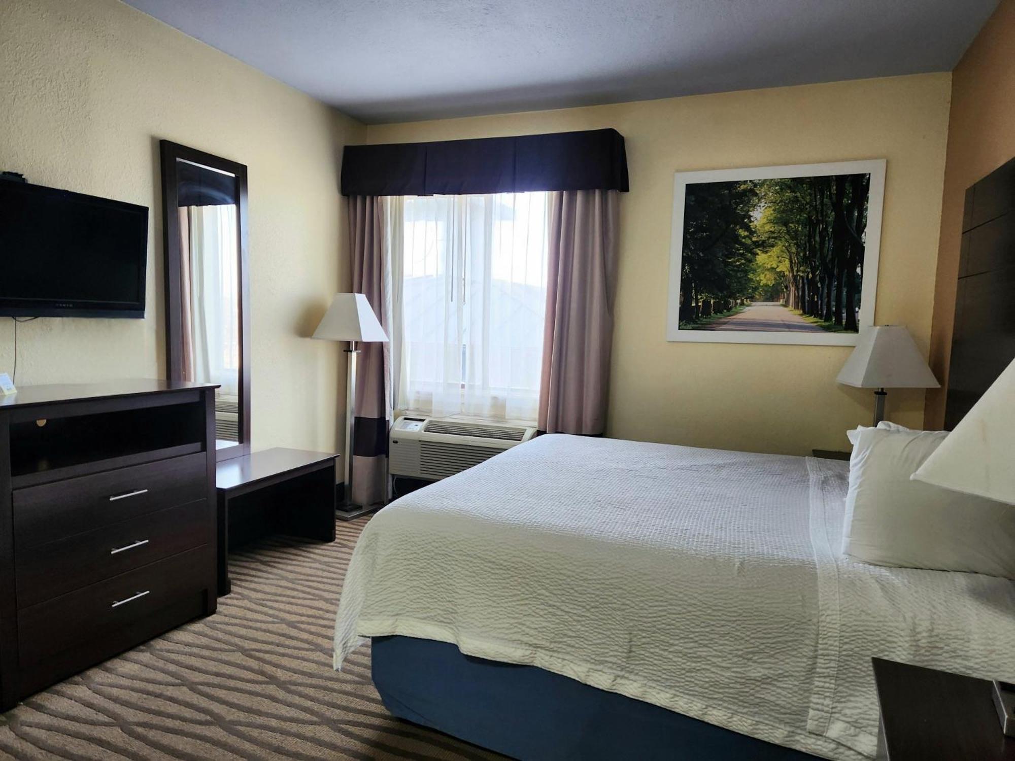 1 King Bed 