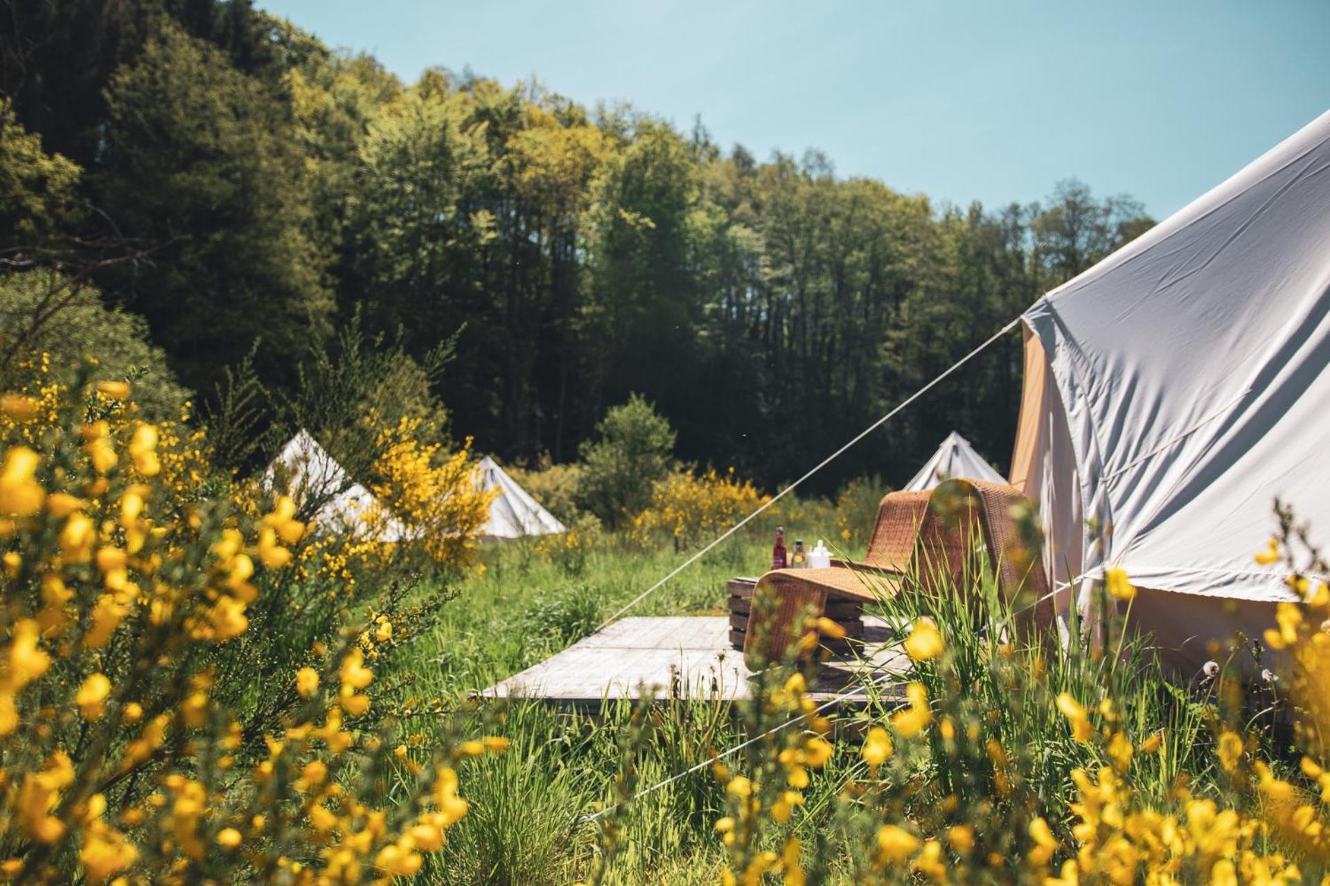 Glamping tent and swim