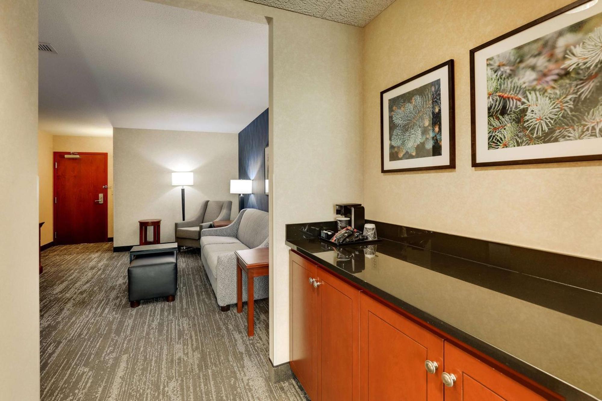 One-Bedroom King Suite with Sofa Bed