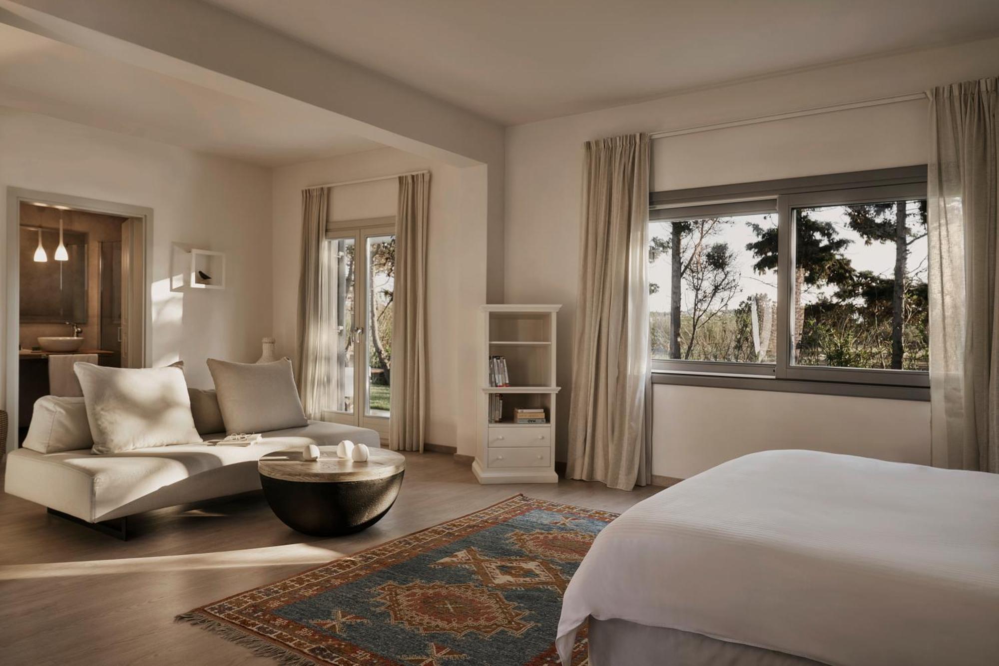 Suite Experience