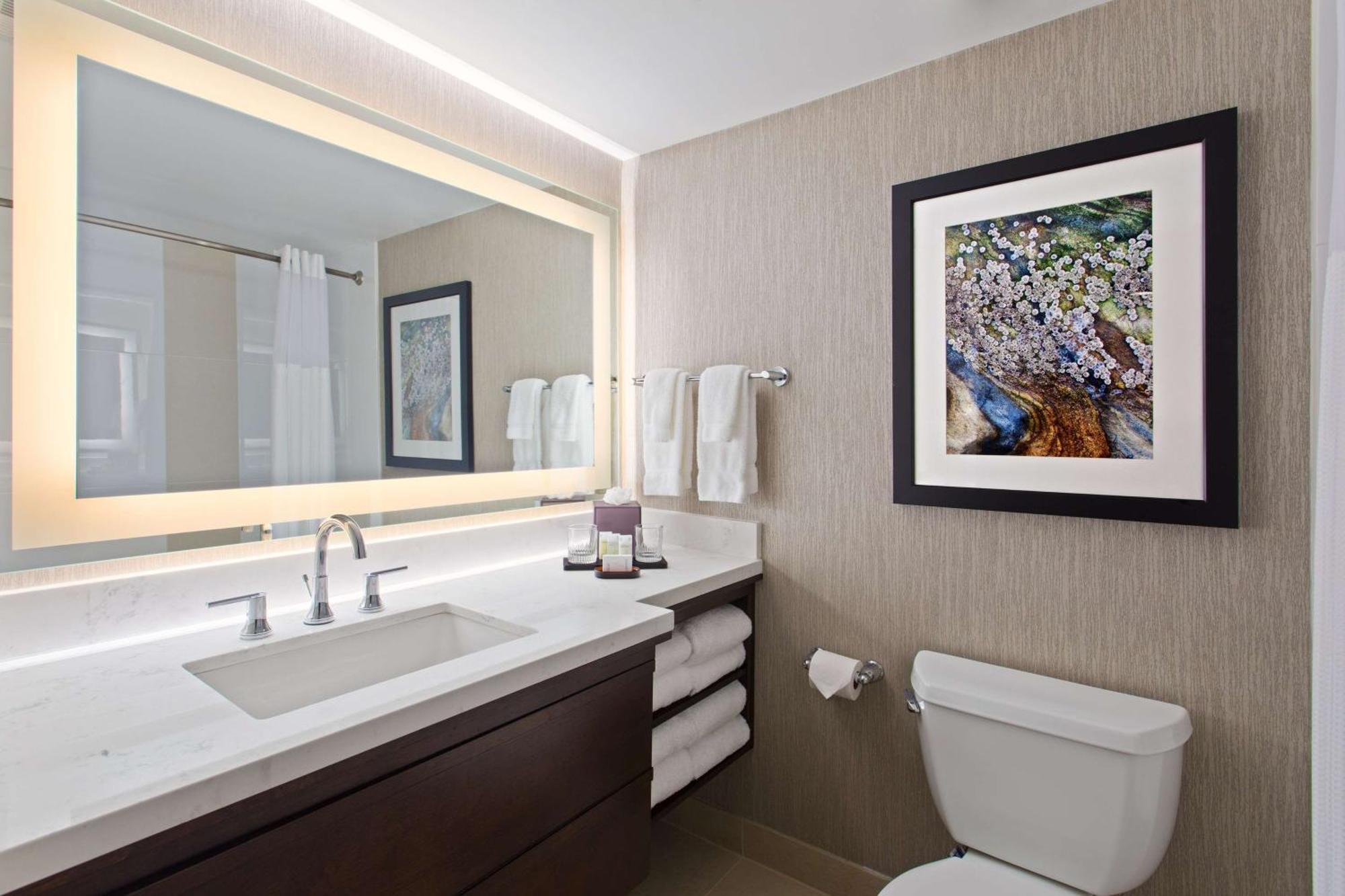 One-Bedroom King Suite with Sofa Bed