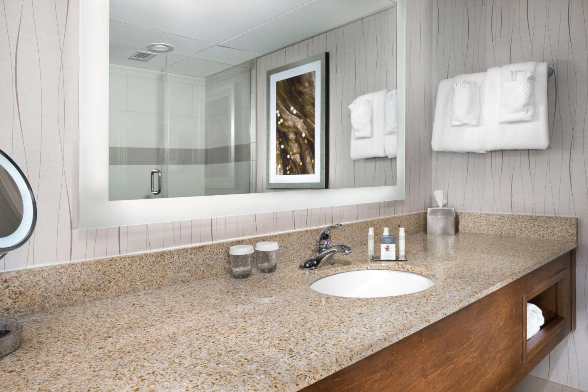 King Room with Tub - Mobility and Hearing Access