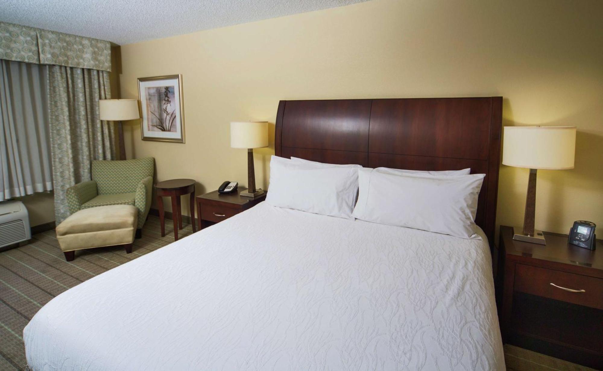 King Room,562067712:JPEG