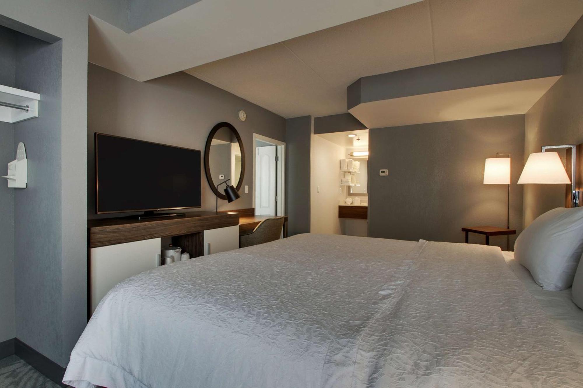 One-Bedroom King Suite with Sofa Bed - Non-Smoking