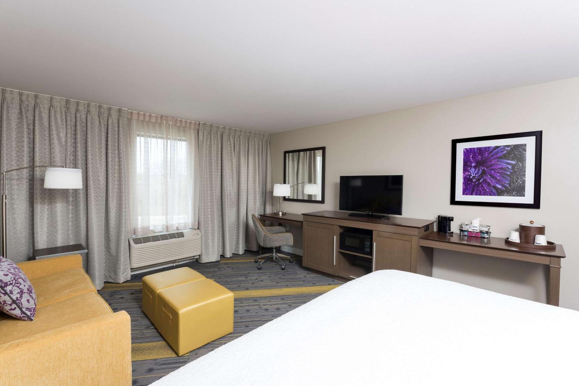 King Room with Sofa Bed - Hearing Accessible/Non-Smoking