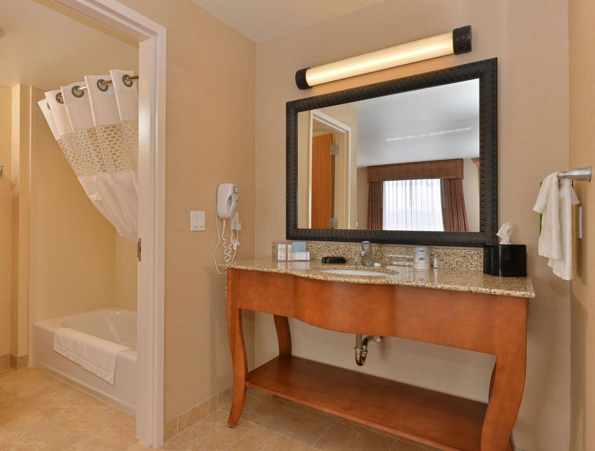 King Studio Suite with Sofa Bed - Non-Smoking
