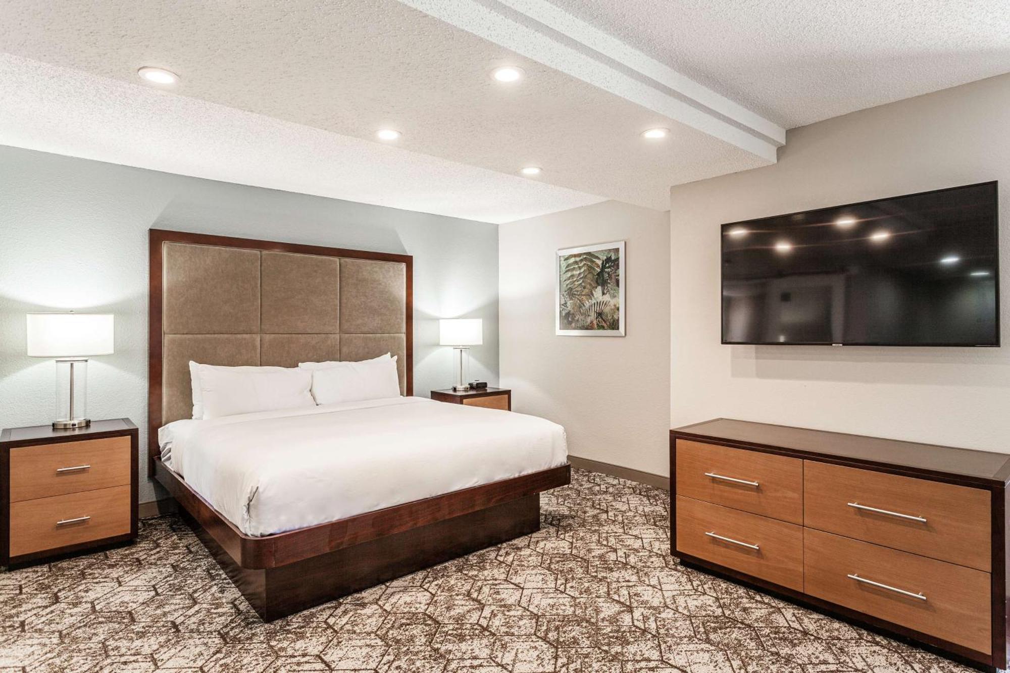 Junior King Suite with Sofa Bed - Non-Smoking
