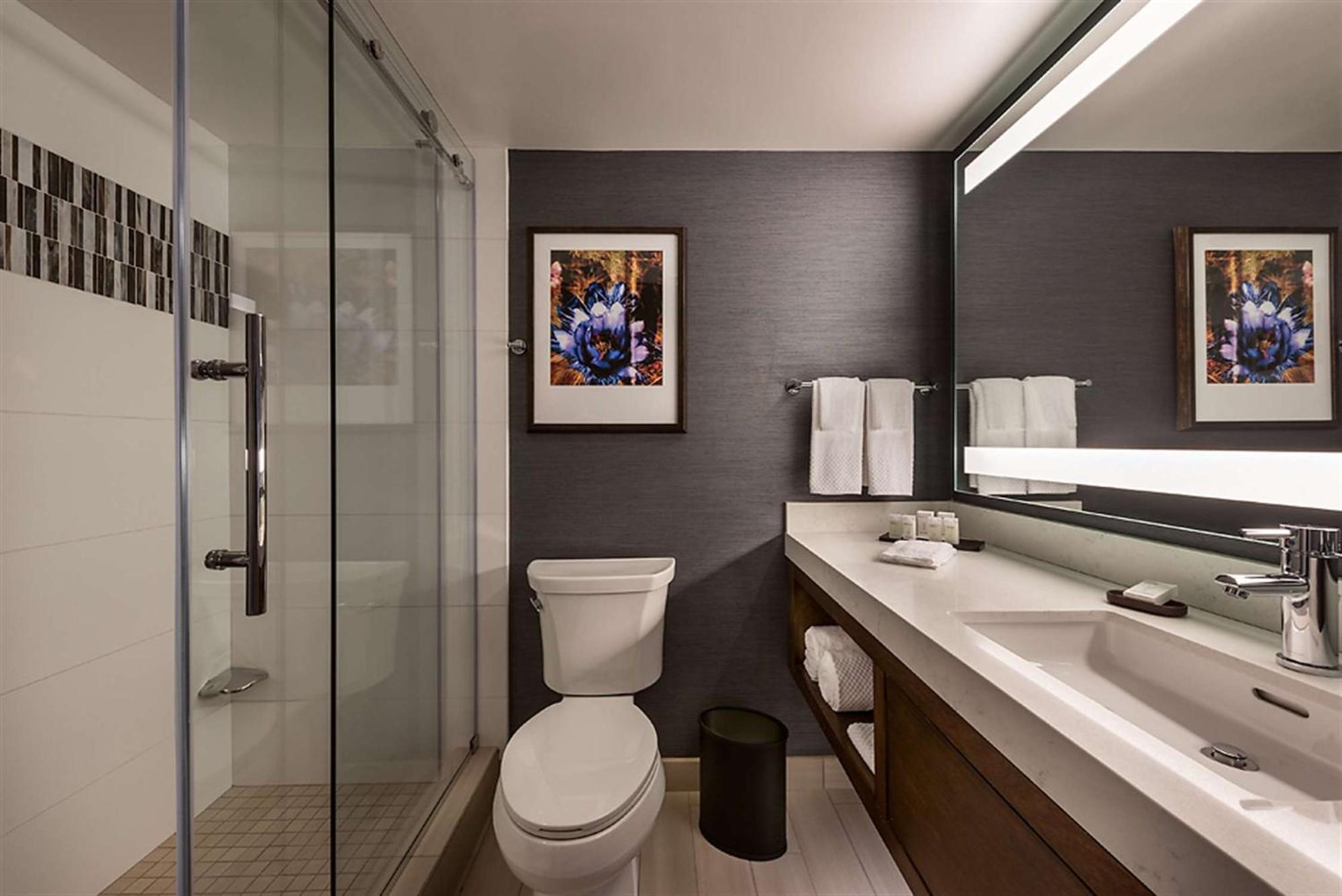 One-Bedroom King Suite