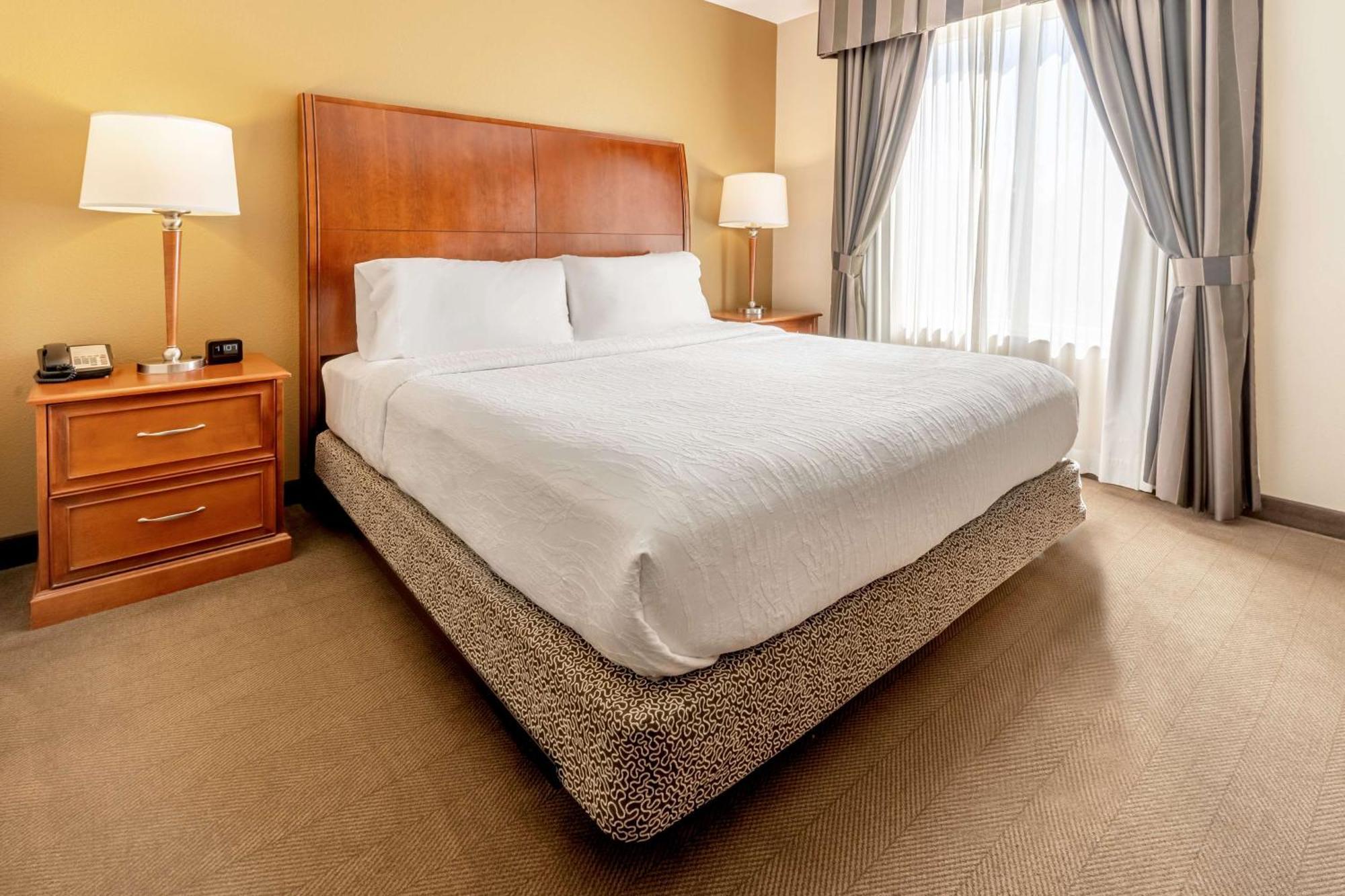 Junior King Suite with Sofa Bed