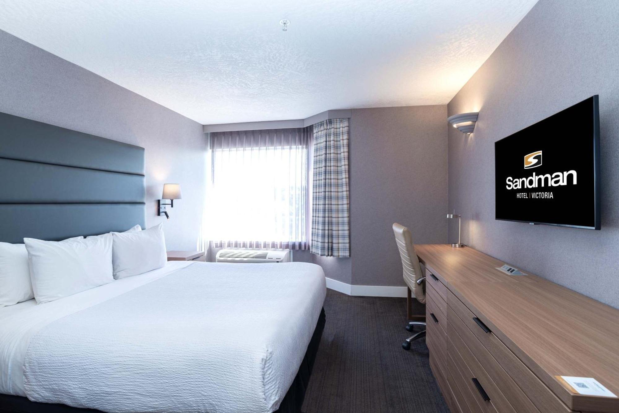 Standard Suite, 1 King Bed, Sofa Bed, Kitchenette