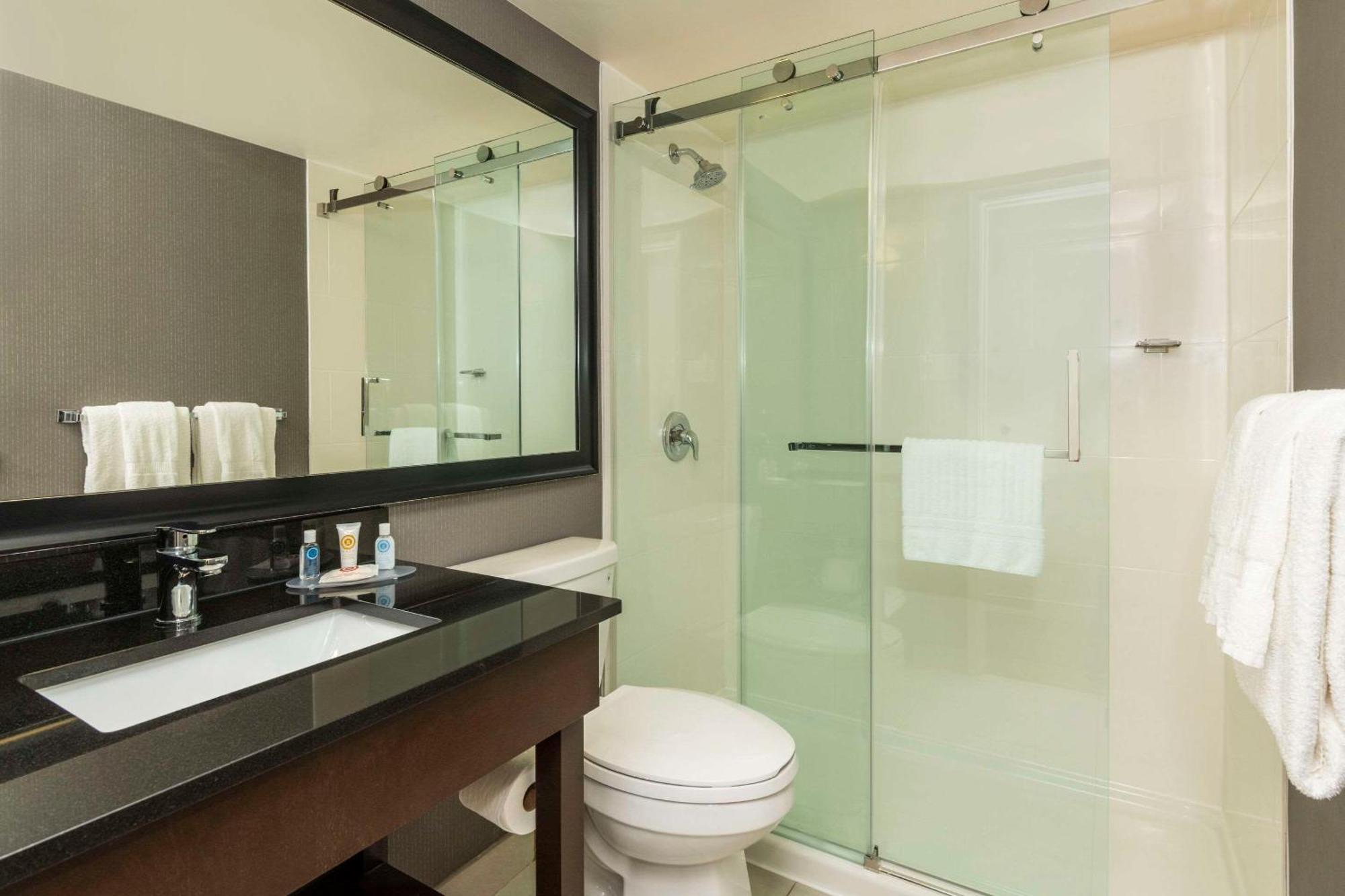 King Suite - Pet Friendly