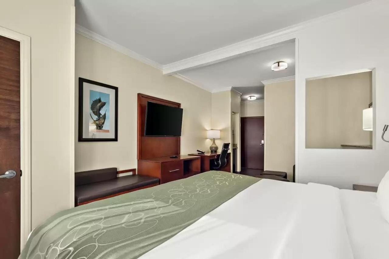 King Suite  - Accessible/Non-Smoking