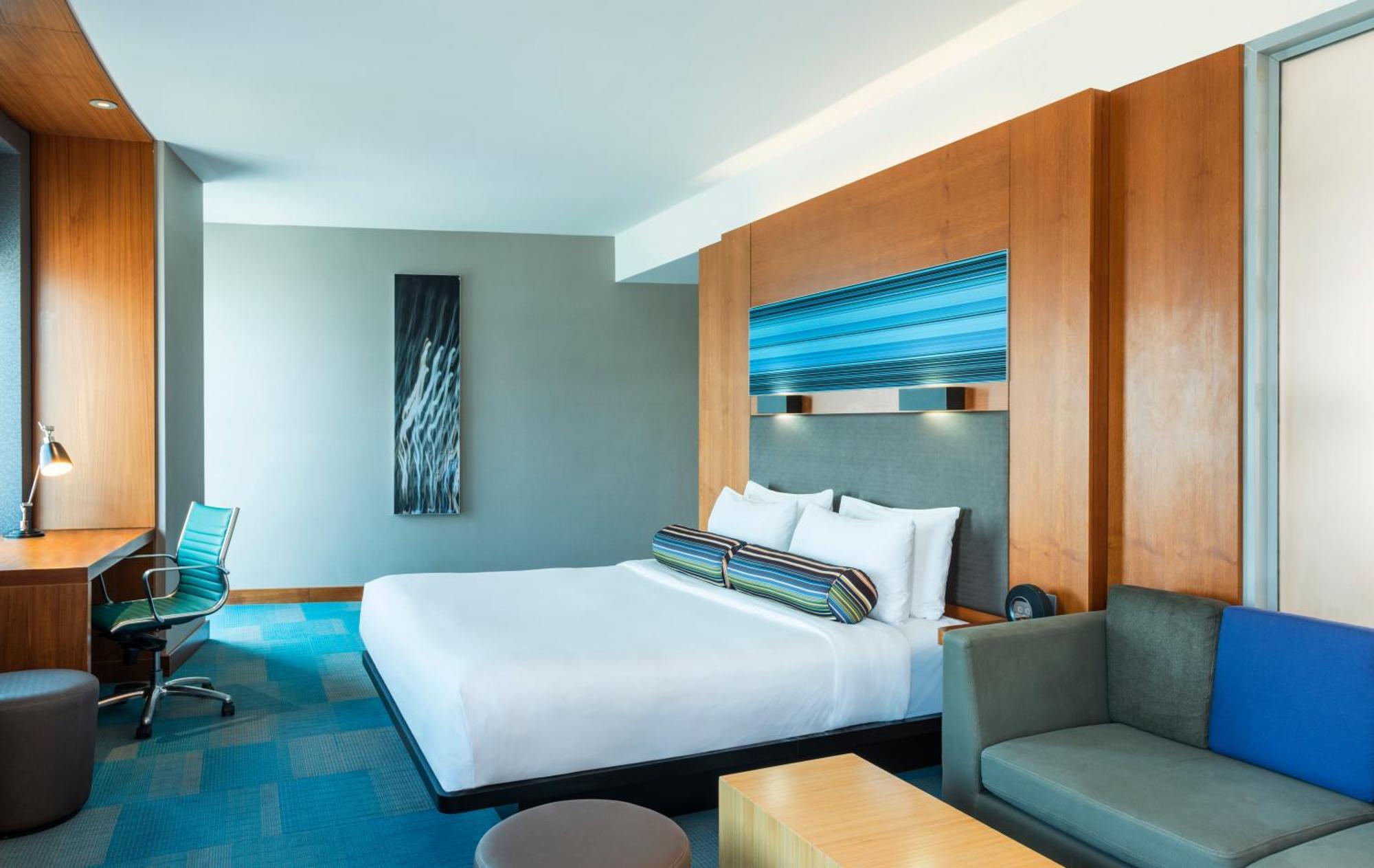 Estudio - Cama extragrande