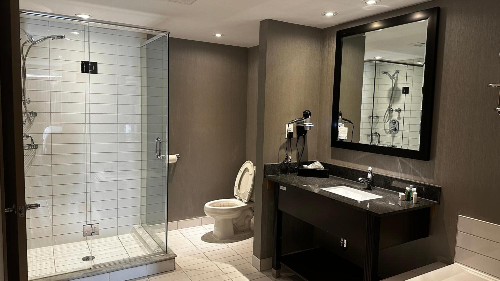 Presidential King Suite