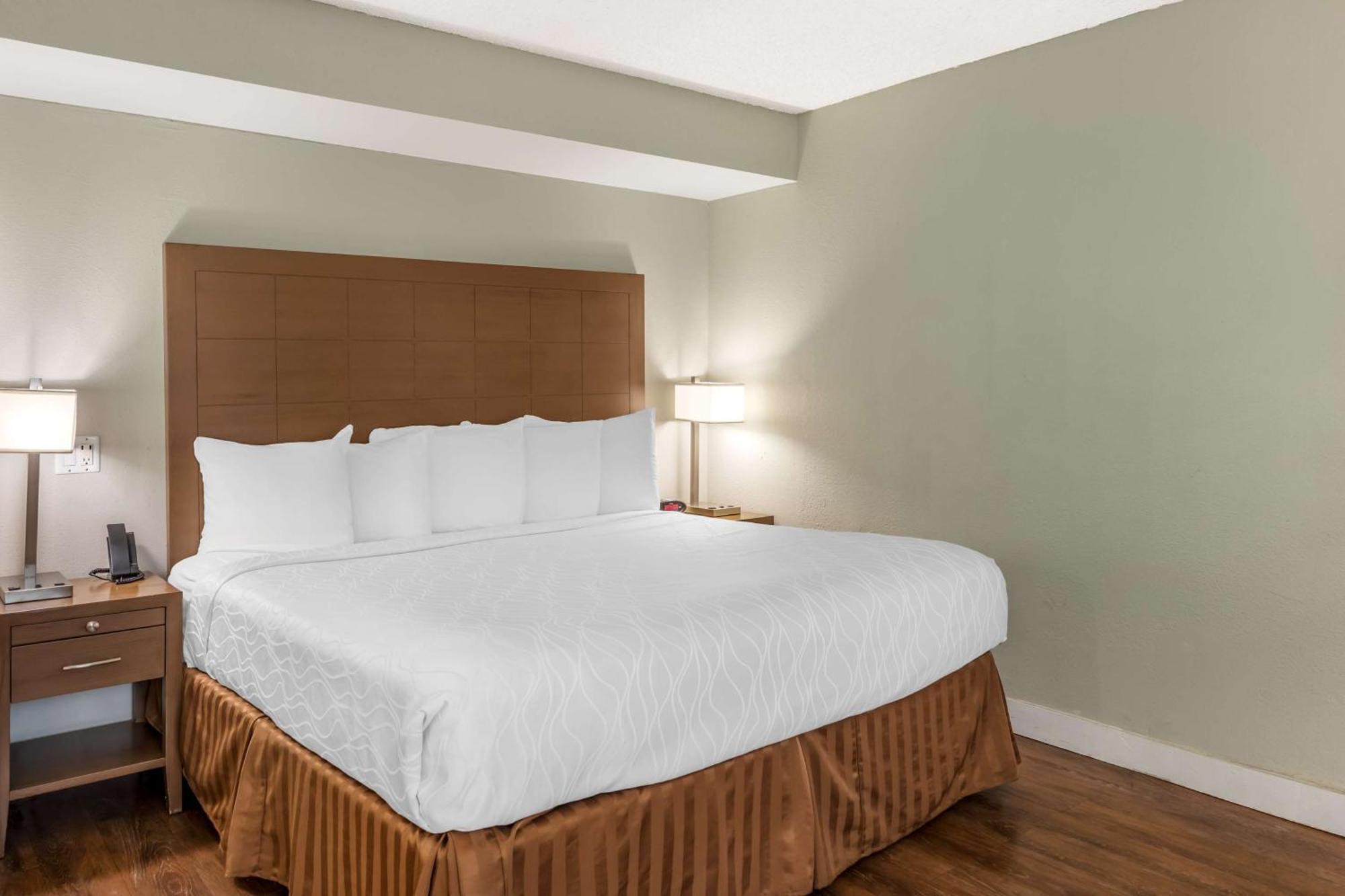 Kamer met Kingsize Bed - Rookvrij