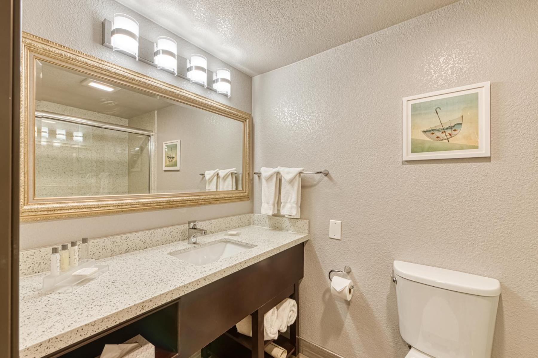 Standard King Room - Non Smoking