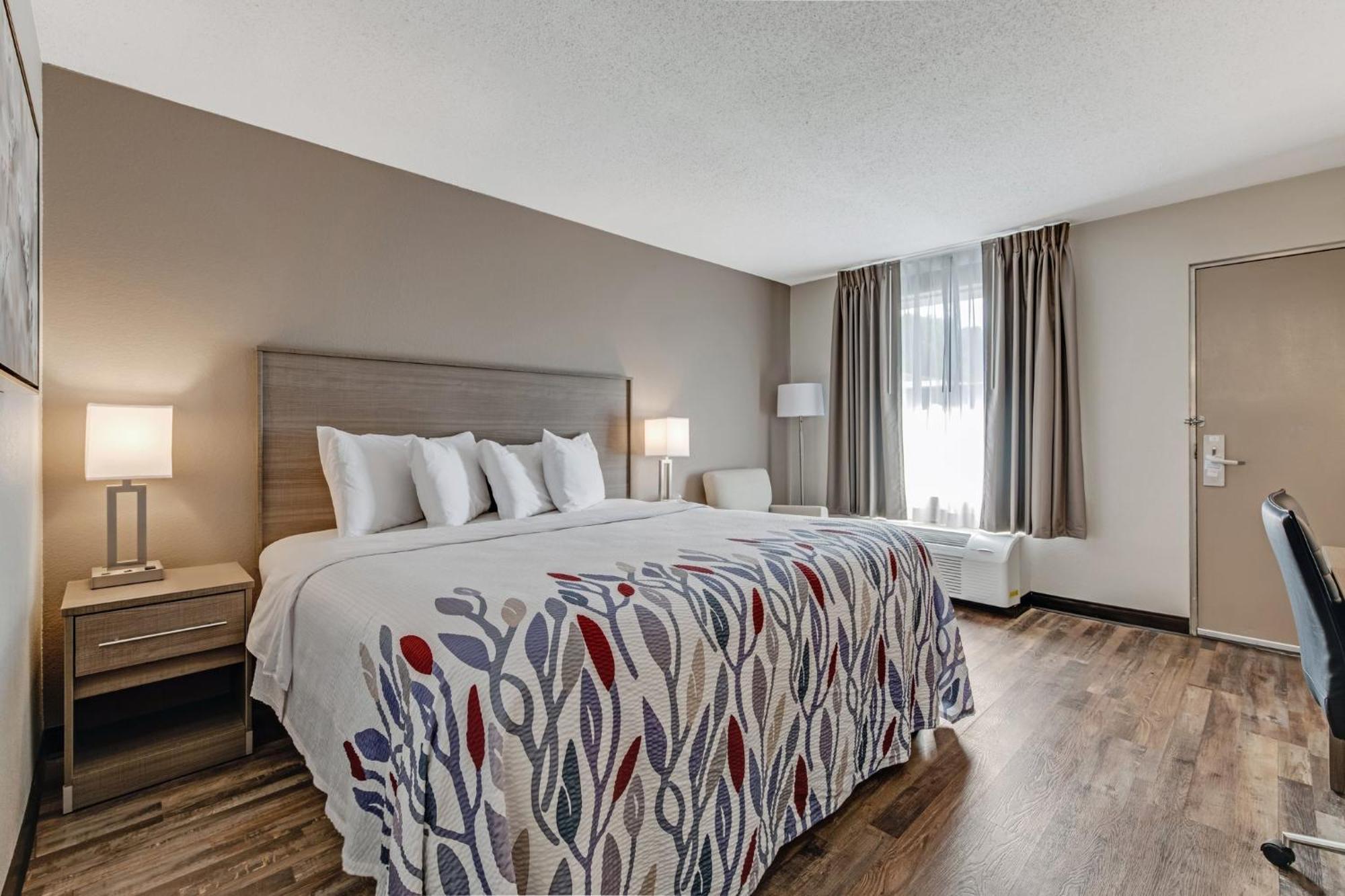 Suite King Room Non-Smoking
