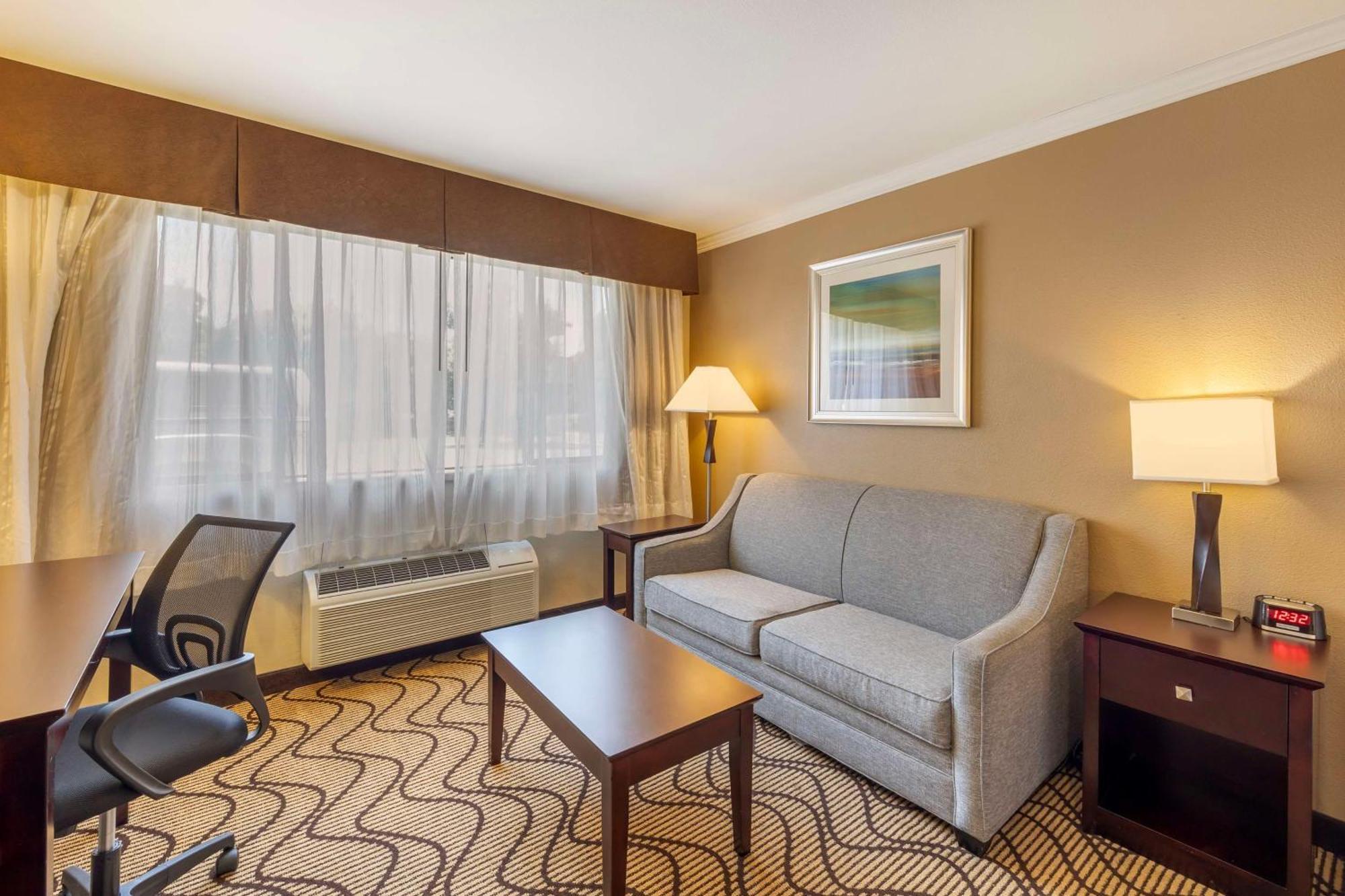 Executive King Suite with Sofa Bed - Non-Smoking