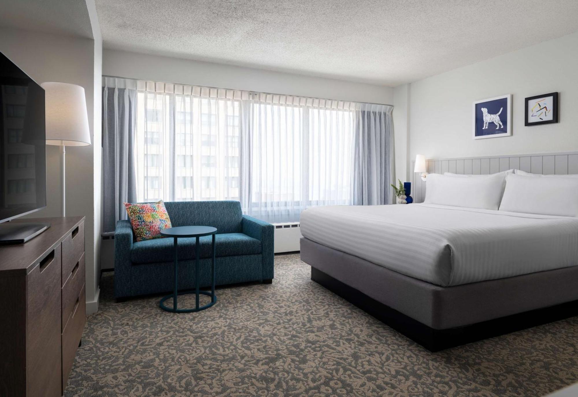 Suite Monolocale King