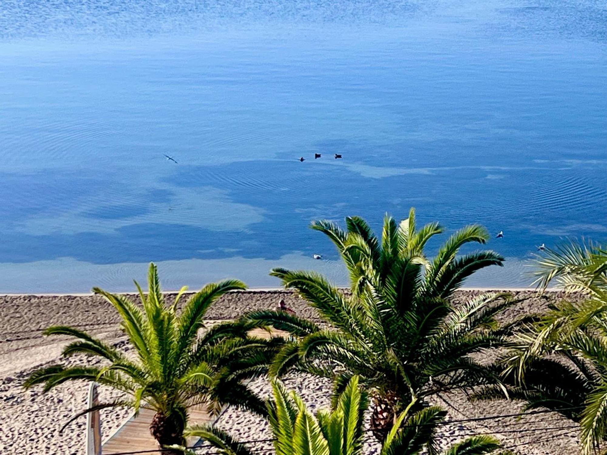 Single Room with Sea View,1616418761:JPEG