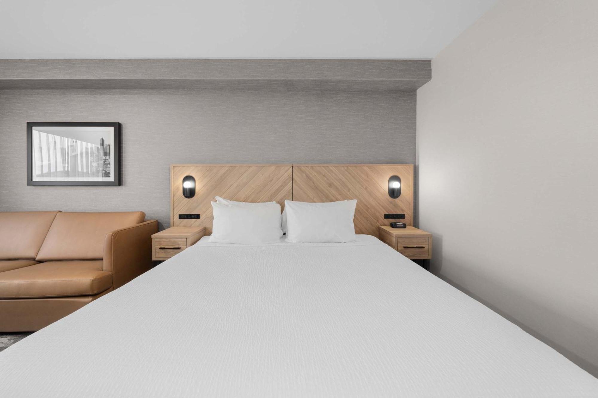 Standard Room, 1 King Bed, Sofa Bed
