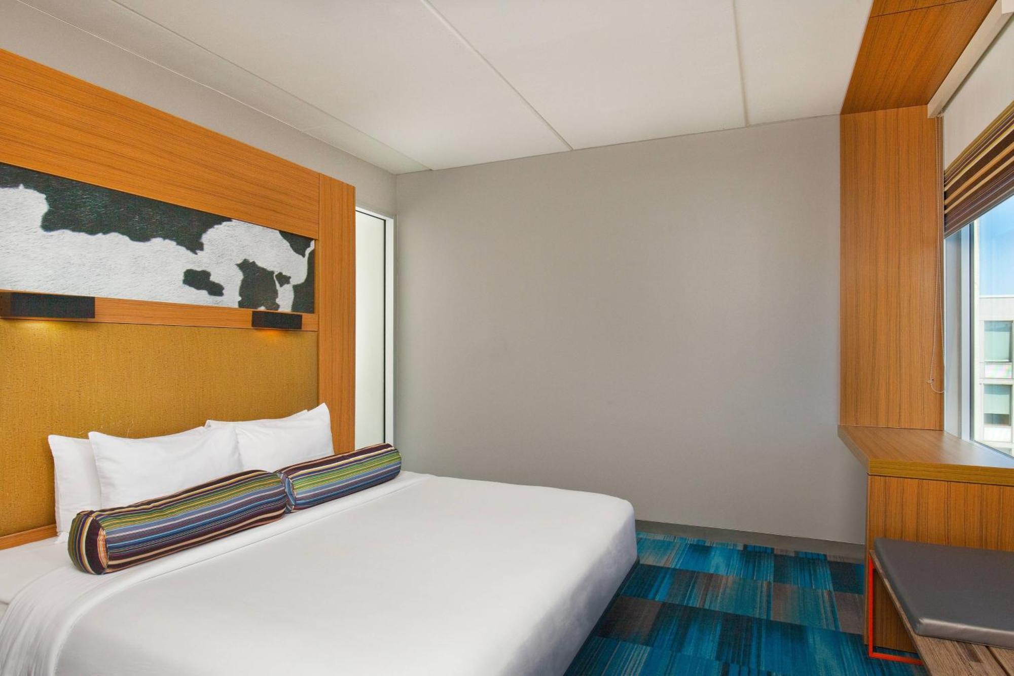 King Room with Roll-in Shower - Mobility and Hearing Accessible