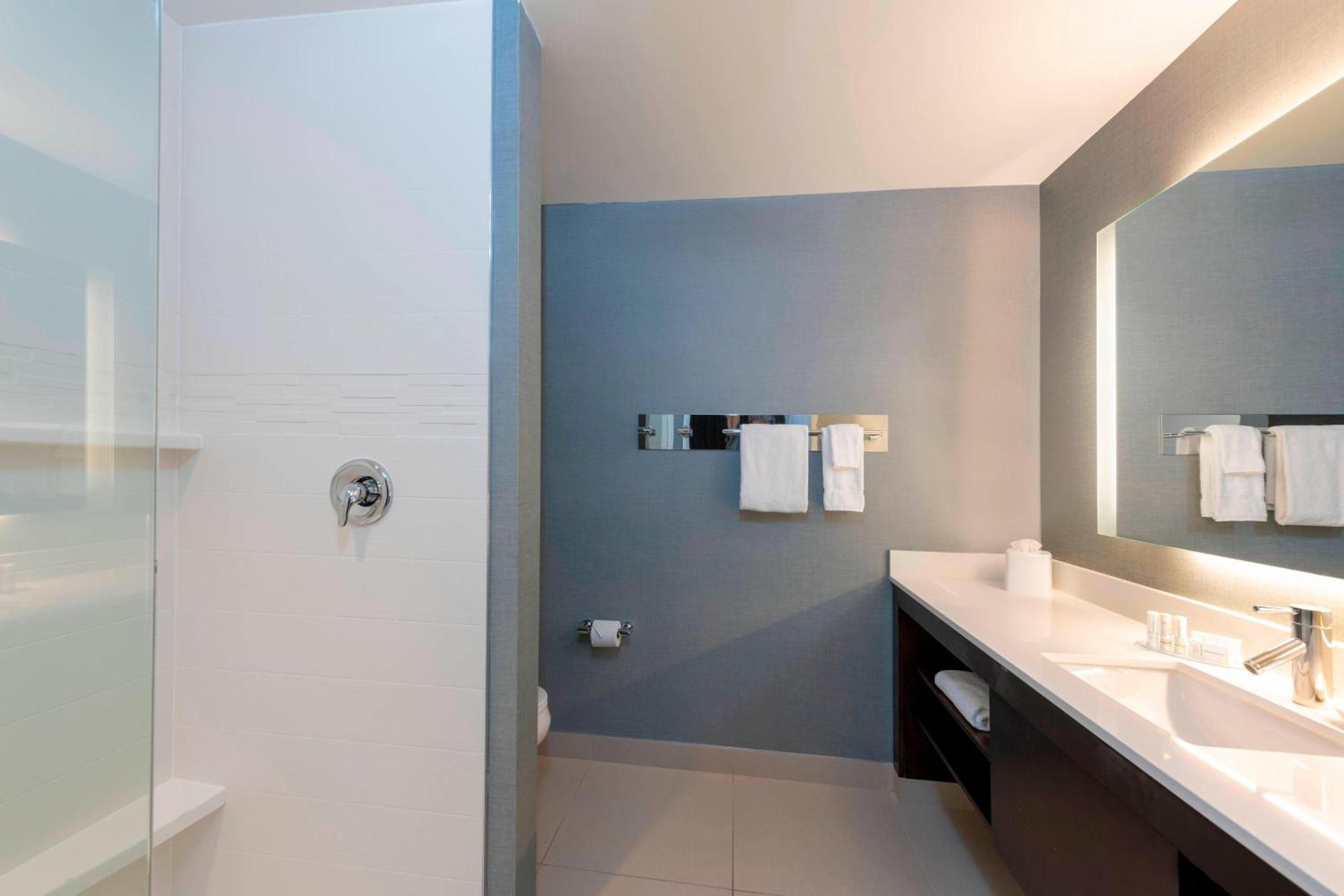 One-Bedroom King Suite with Sofa Bed - Non-Smoking