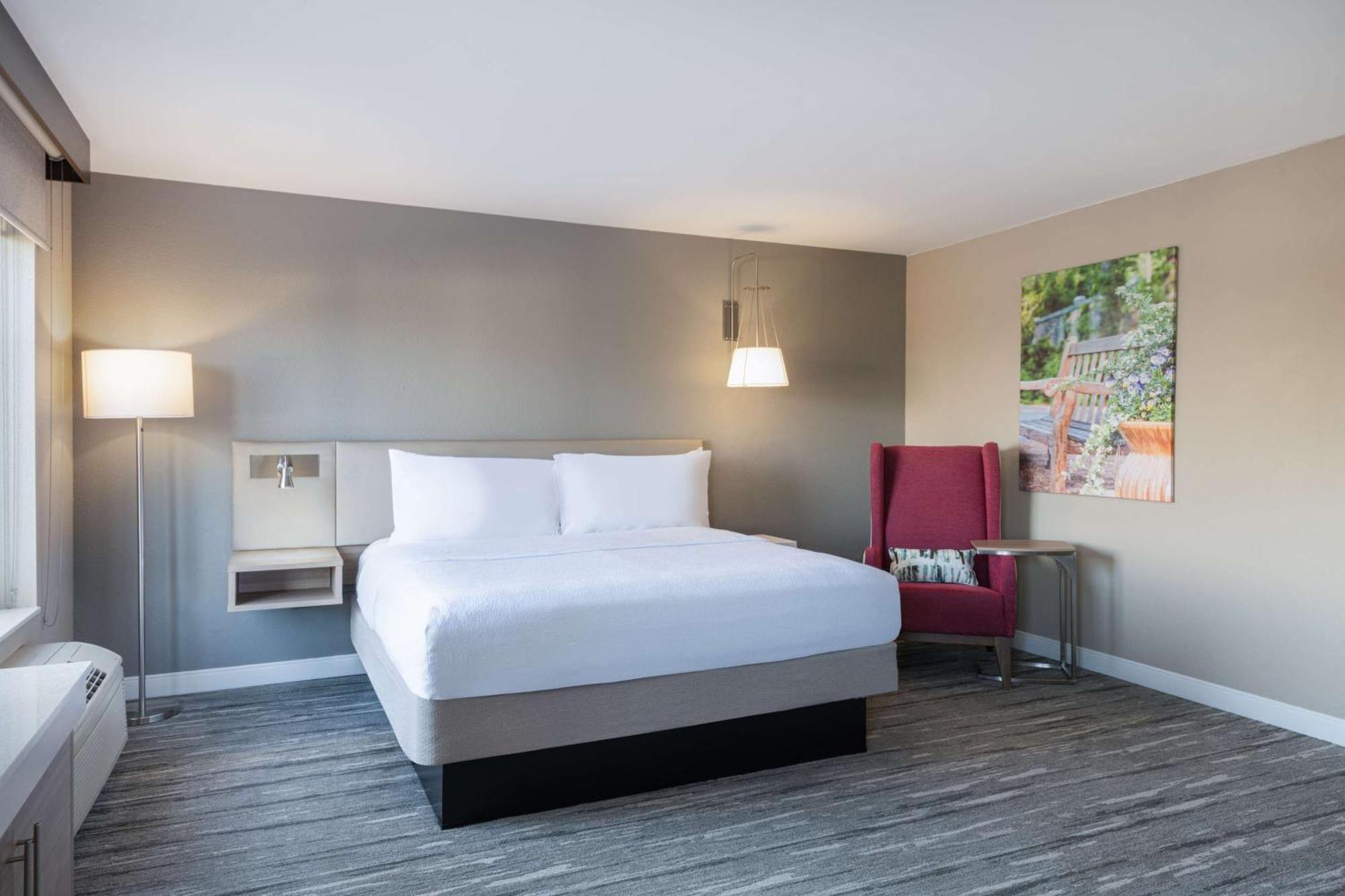 Large King Room with Sofa Bed