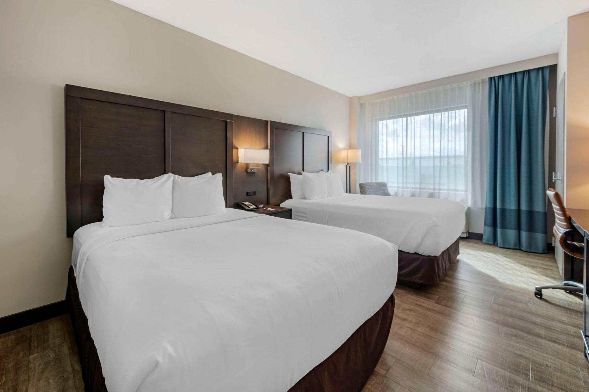 Kamer met 2 Queensize Bedden - Rookvrij