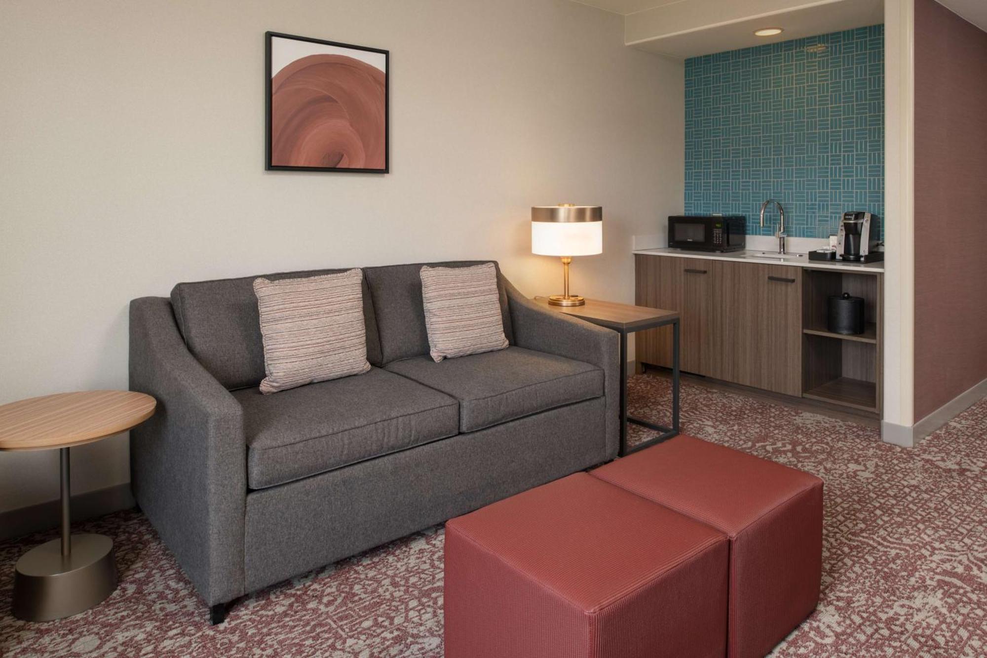 Deluxe King Suite with Roll-In Shower