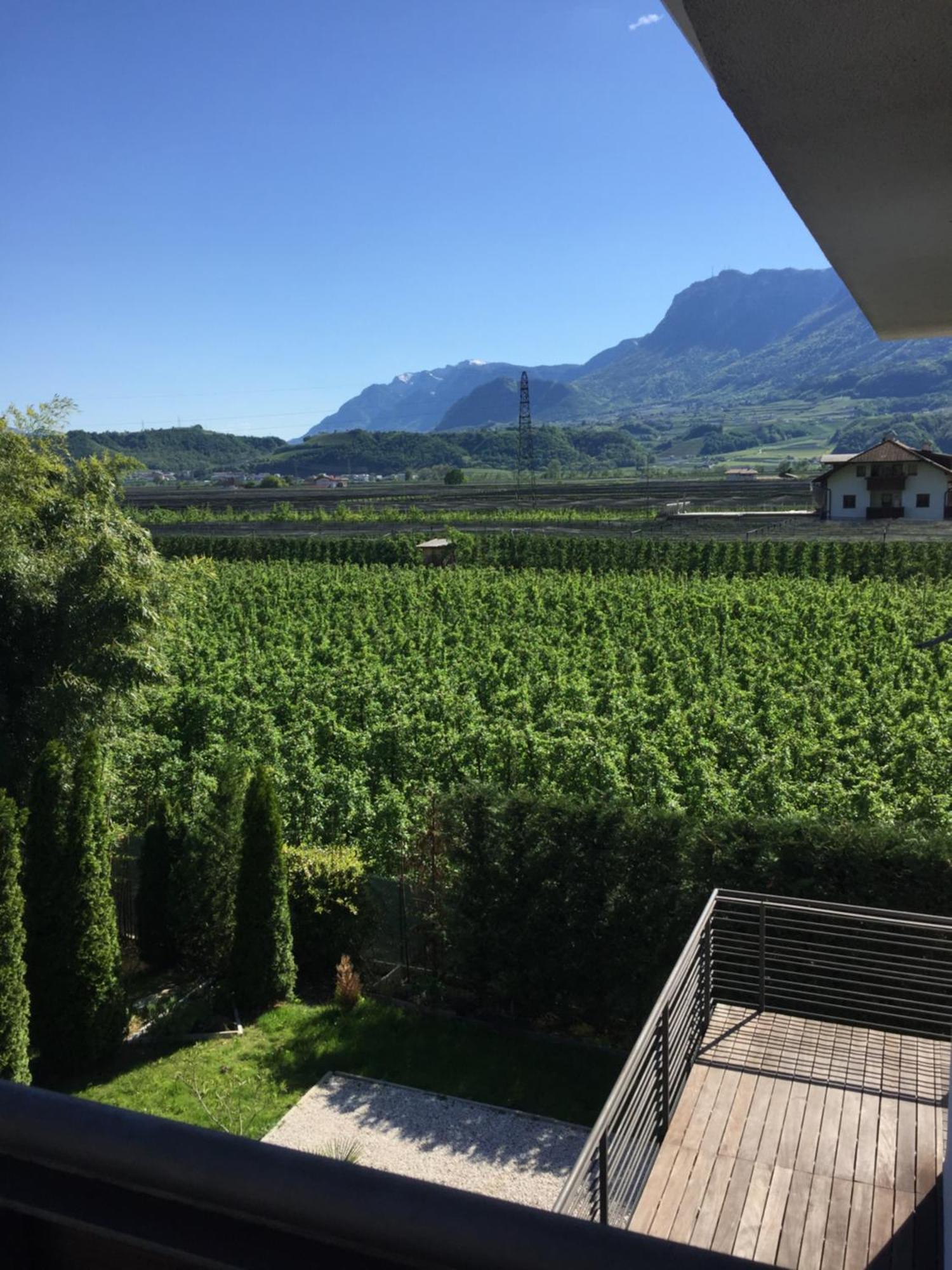 Junior Suite Familiare