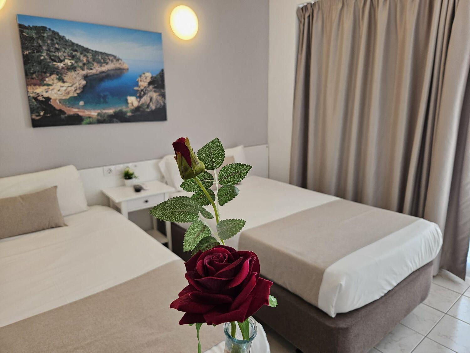 Chambre Double ou Lits Jumeaux