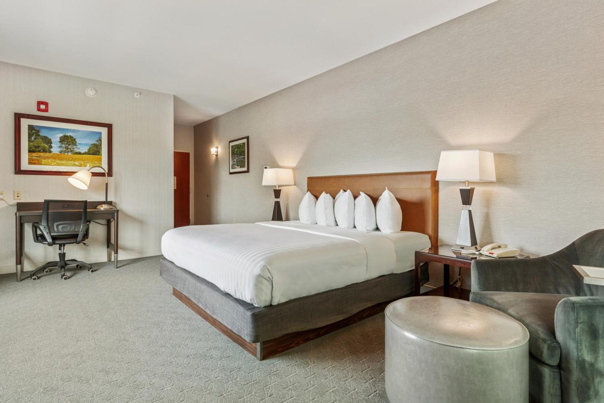 Premier King Room,1671878661:JPEG